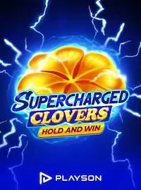 Slot game at SWBET COM